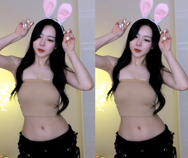 (gu)a(chn)FXVIDSEOSҕlTĄűֱ(i)Ķ̄