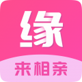 缘来网相亲