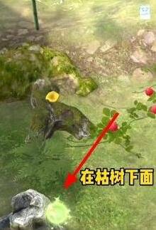 ɽЩ