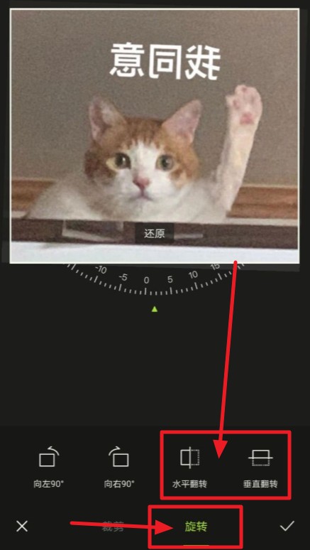 ͼ