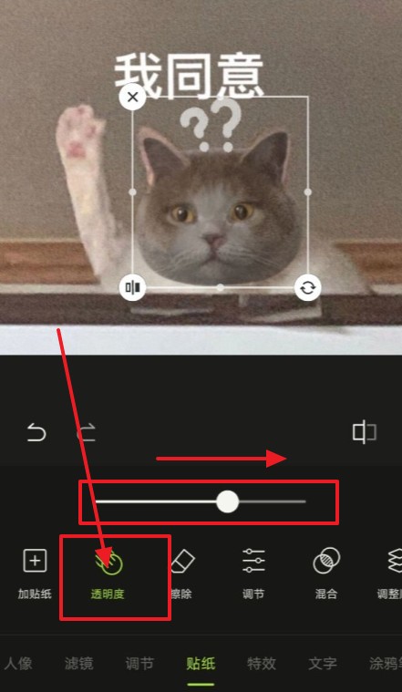 ͼ͸ô