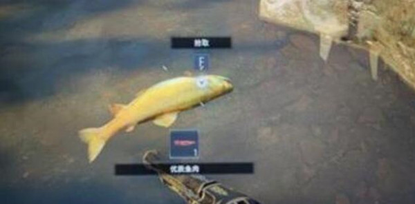 Σ8ʳλôȫ