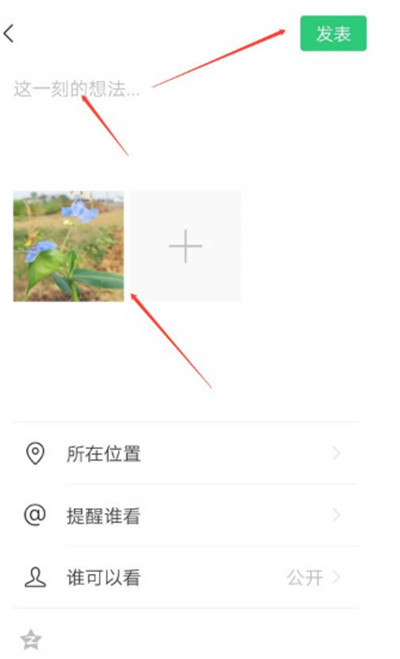 ҵ΢ô鿴Ȧ