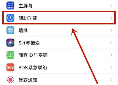 iOS˫Ļô