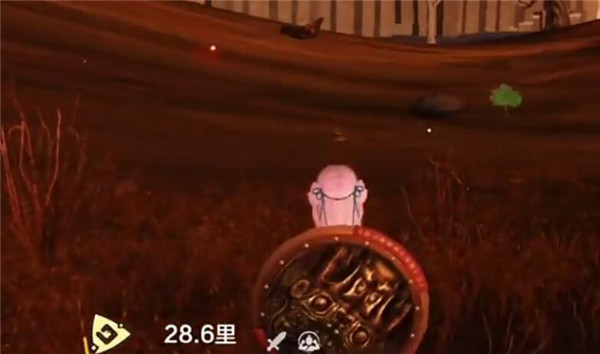 ɽô