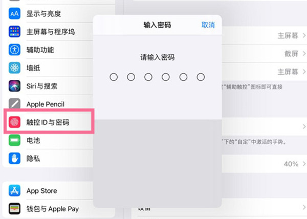 ipadô޸Ŀ