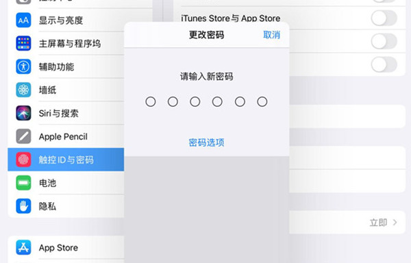 ipadô޸Ŀ
