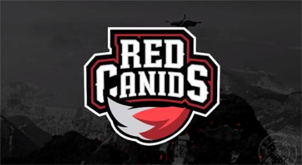 REDսĸҵս