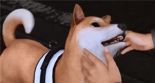 ֮ļô