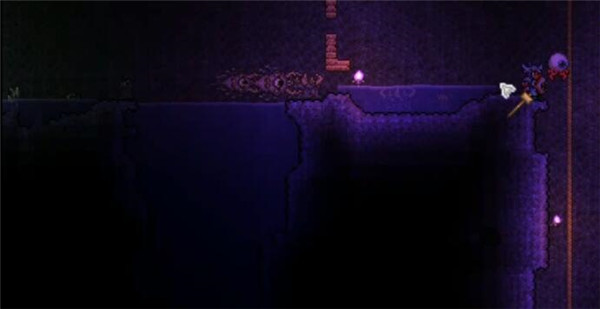̩ɹô