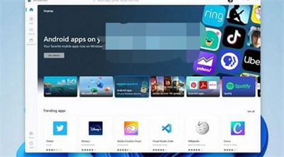win11Ϊʲô޷װ