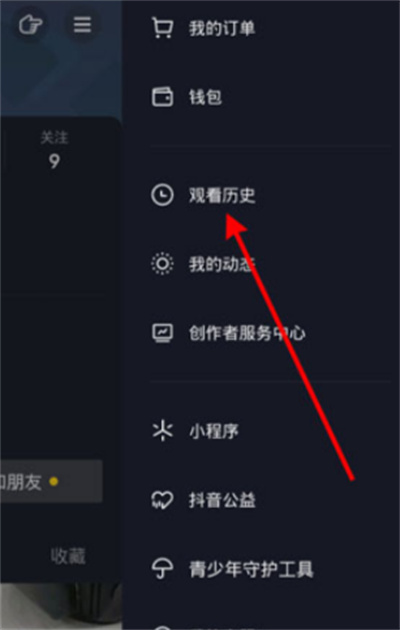 ۿʷ