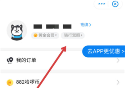 ô鿴Լļշ