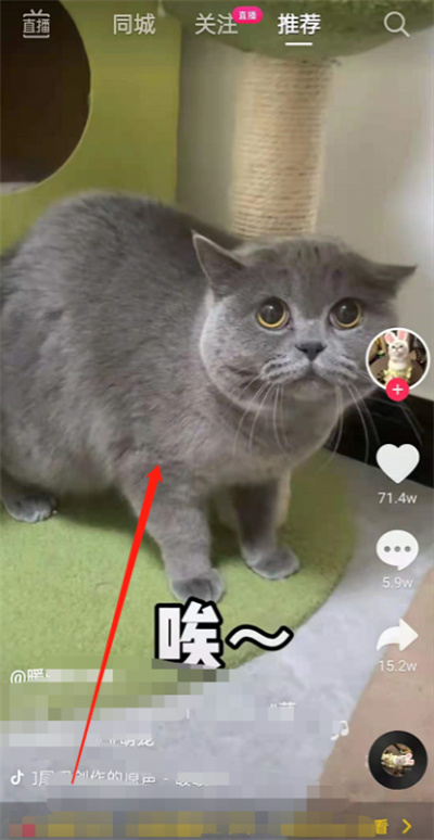 ôƵ