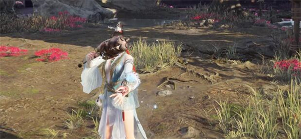 ޼淨
