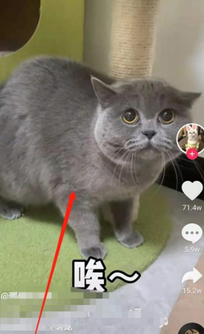 ôٲƵ