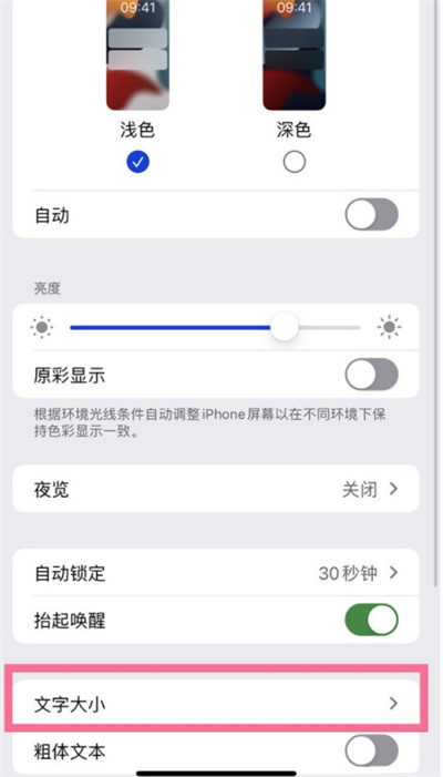 iPhone13ôֻС