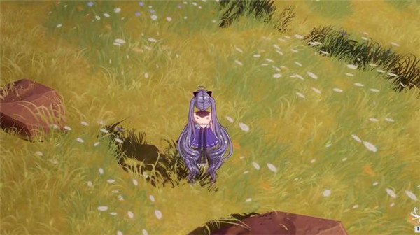 ˻ʲô