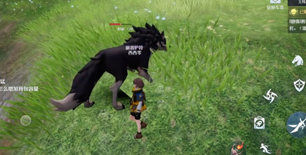 ŵ֮ľƱù