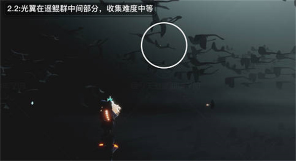 λ