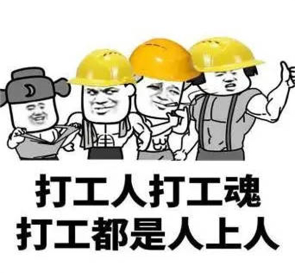 ѡʲô