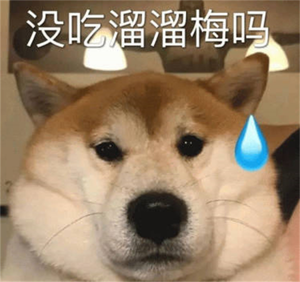 û¾ͳ÷ʲô