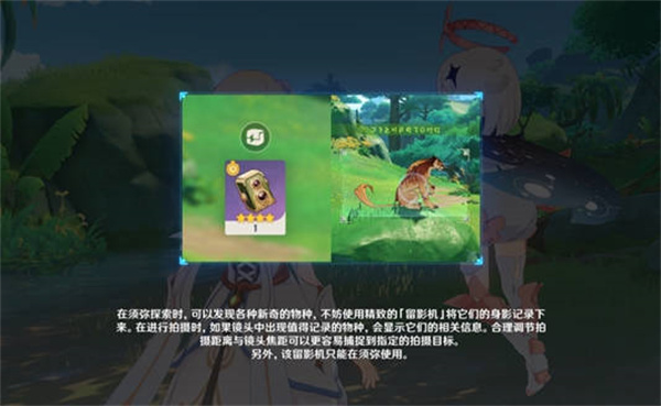 ԭͯǰô