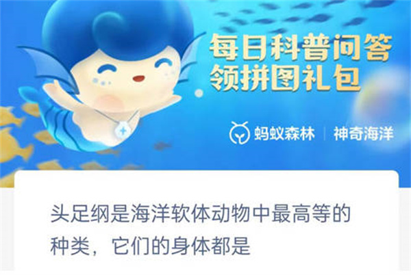 ֧溣ͷǺ嶯嶼ʲô