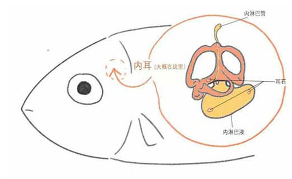 ֧溣ж