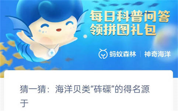 ֧溣Դʲô