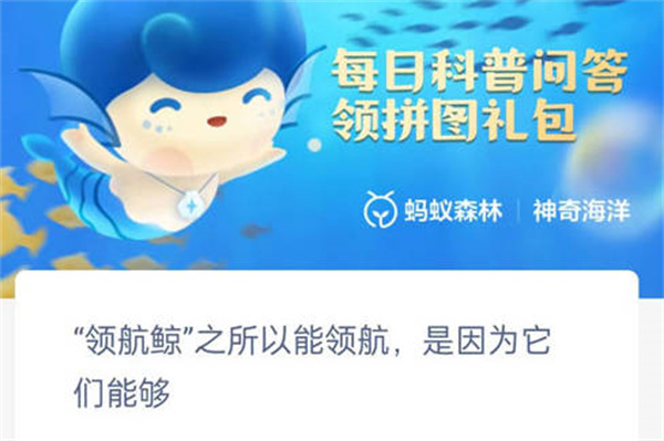 ֧溣캽֮캽Ϊʲô