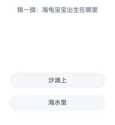 ֧溣11.8մʲô2022