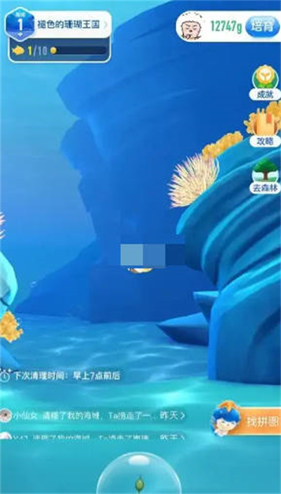 ֧溣11.13ʲô