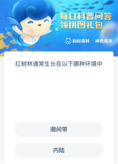 ֧溣11.19һ