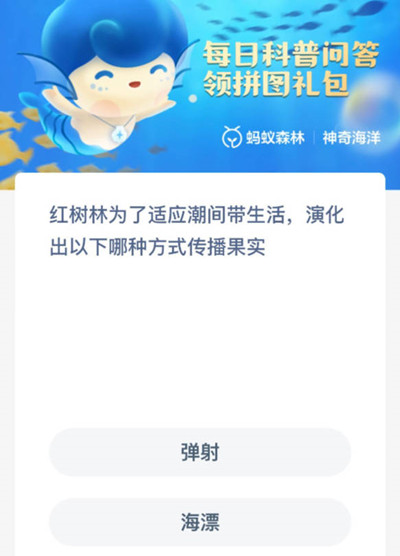 ֧溣11.21ʲô