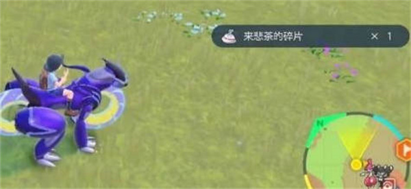 ϲйôõ