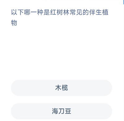 ֧溣11.26һ