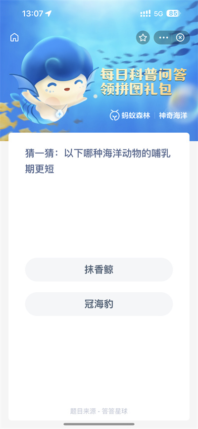 ֧溣2.1մʲô