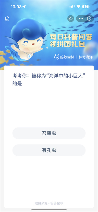 ֧溣3.1մʲô