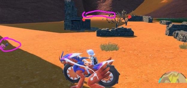̿С ̿Сλò׽