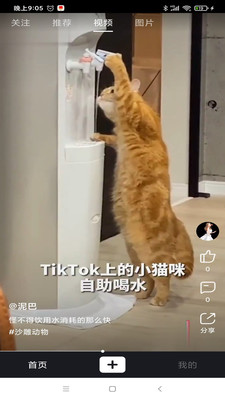 appٷ