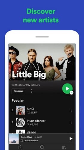(spotify) 