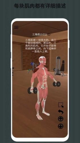 3dָ