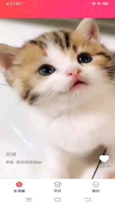 Ƶ