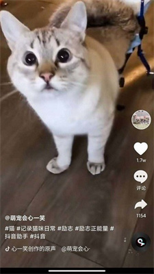 ȫˢƵ