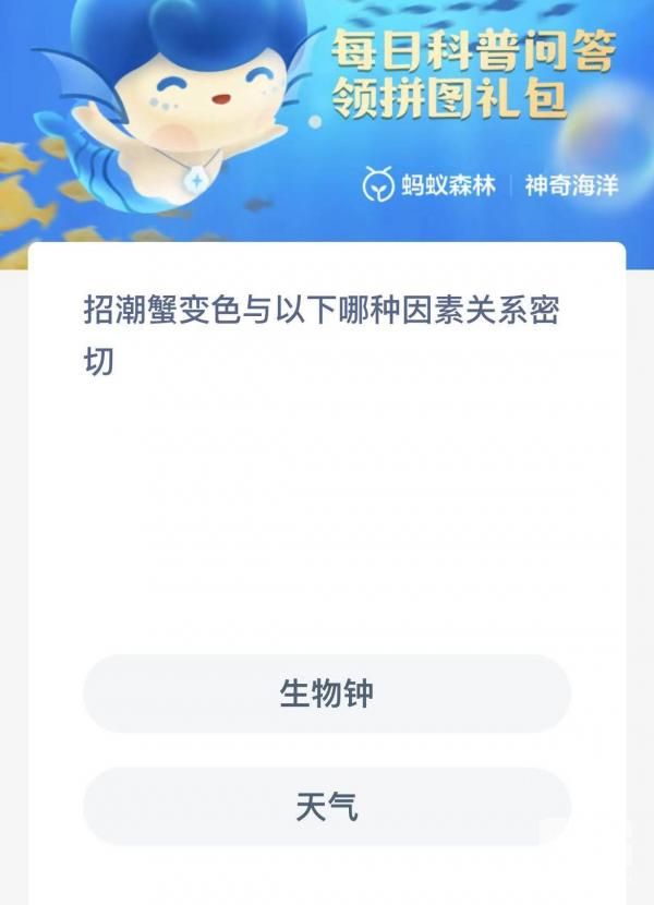 ֧溣ʴ𰸽-溣ʴ·