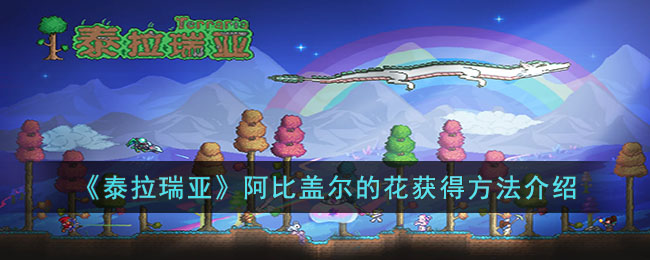 ̩ǰȸǶĻô-ȸǶĻ÷