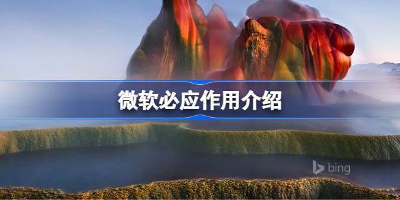 ΢Ӧʲô-΢Ӧϸ
