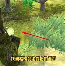 ͼ