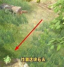 ͼ